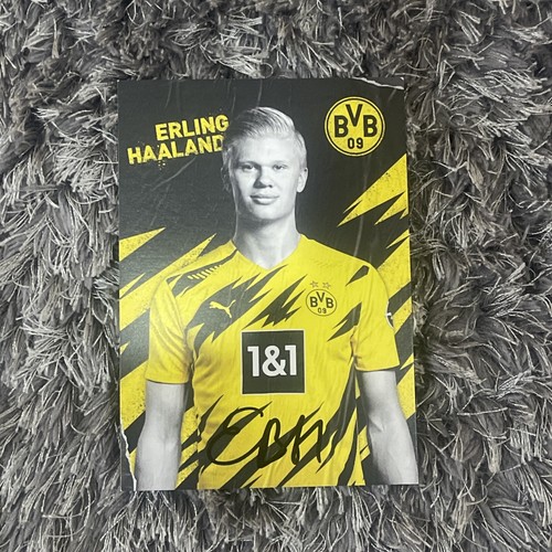 Erling haaland 2020 - erling,