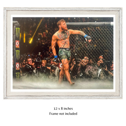 Conor mcgregor ufc - ufc, champion