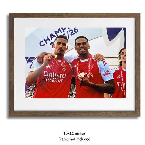 Gabriel william saliba - gabriel,